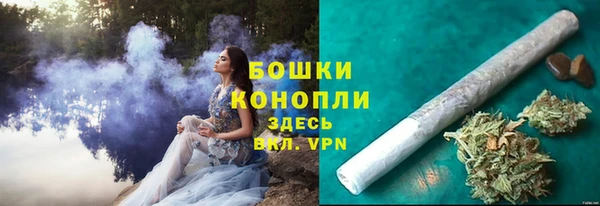PSILOCYBIN Козельск