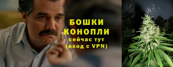 PSILOCYBIN Козельск