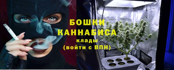 PSILOCYBIN Козельск