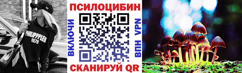 Псилоцибиновые грибы Psilocybine cubensis  Элиста 