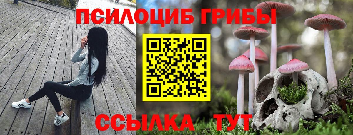 Псилоцибиновые грибы Magic Shrooms Элиста
