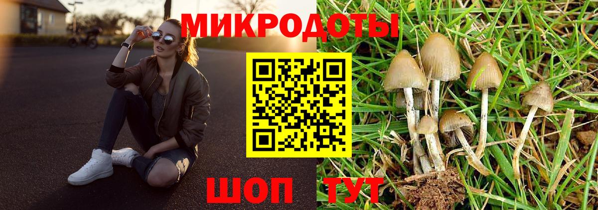 Элиста  Галлюциногенные грибы Magic Shrooms  Вход с VPN  Галлюциногенные грибы Psilocybine cubensis 