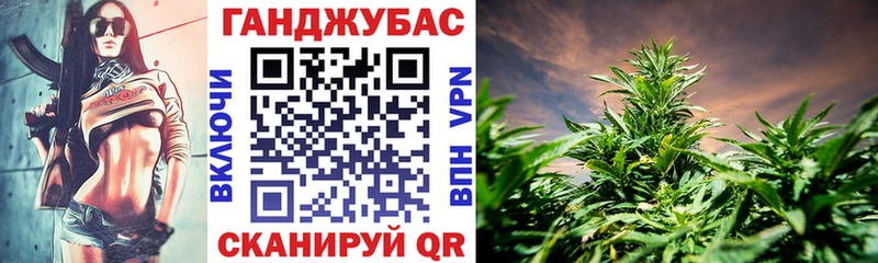 Бошки марихуана Amnesia  где найти наркотики  Элиста 